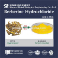 pure natural berberine coptis chinensis extract